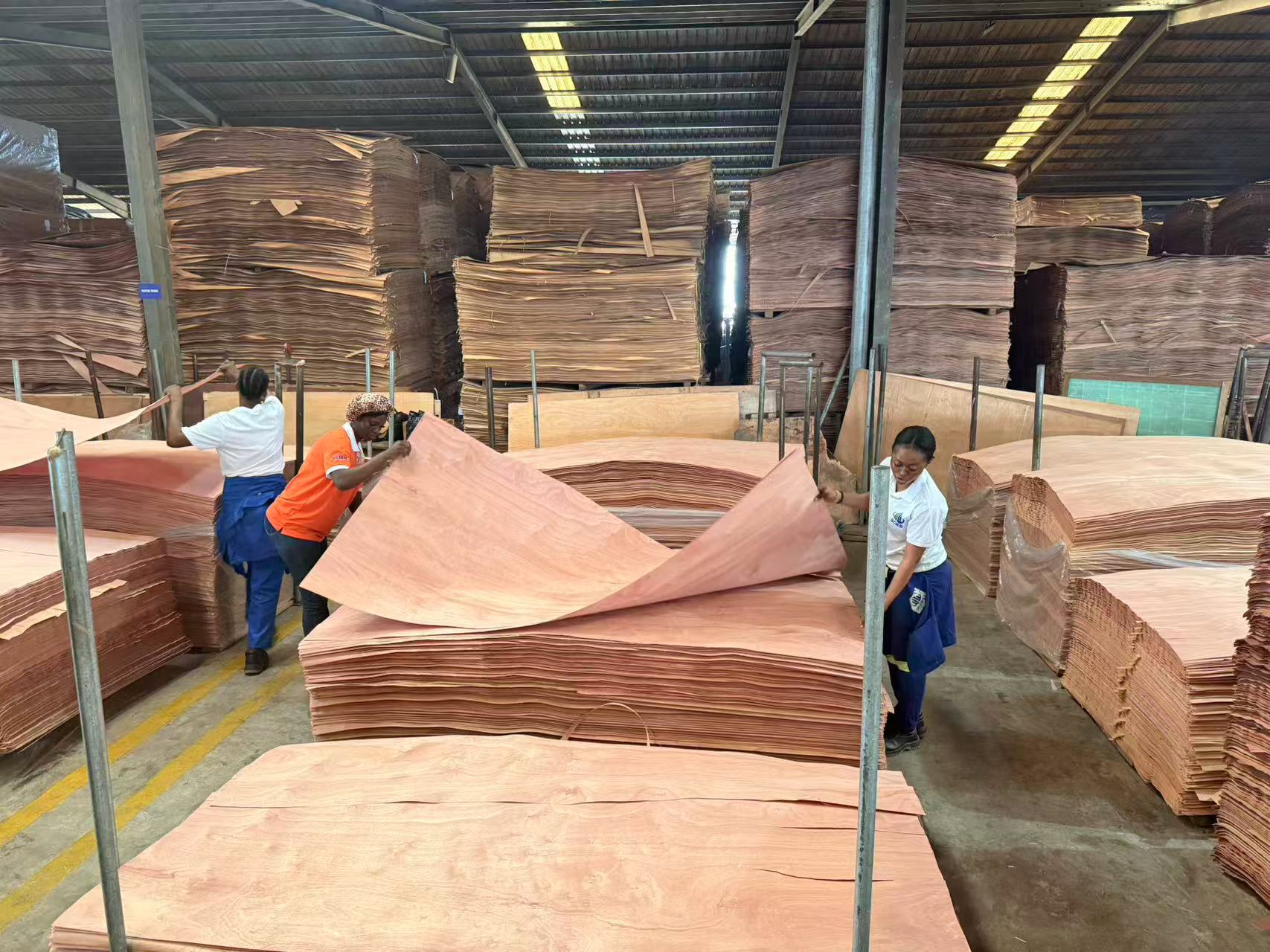 Veneer grading