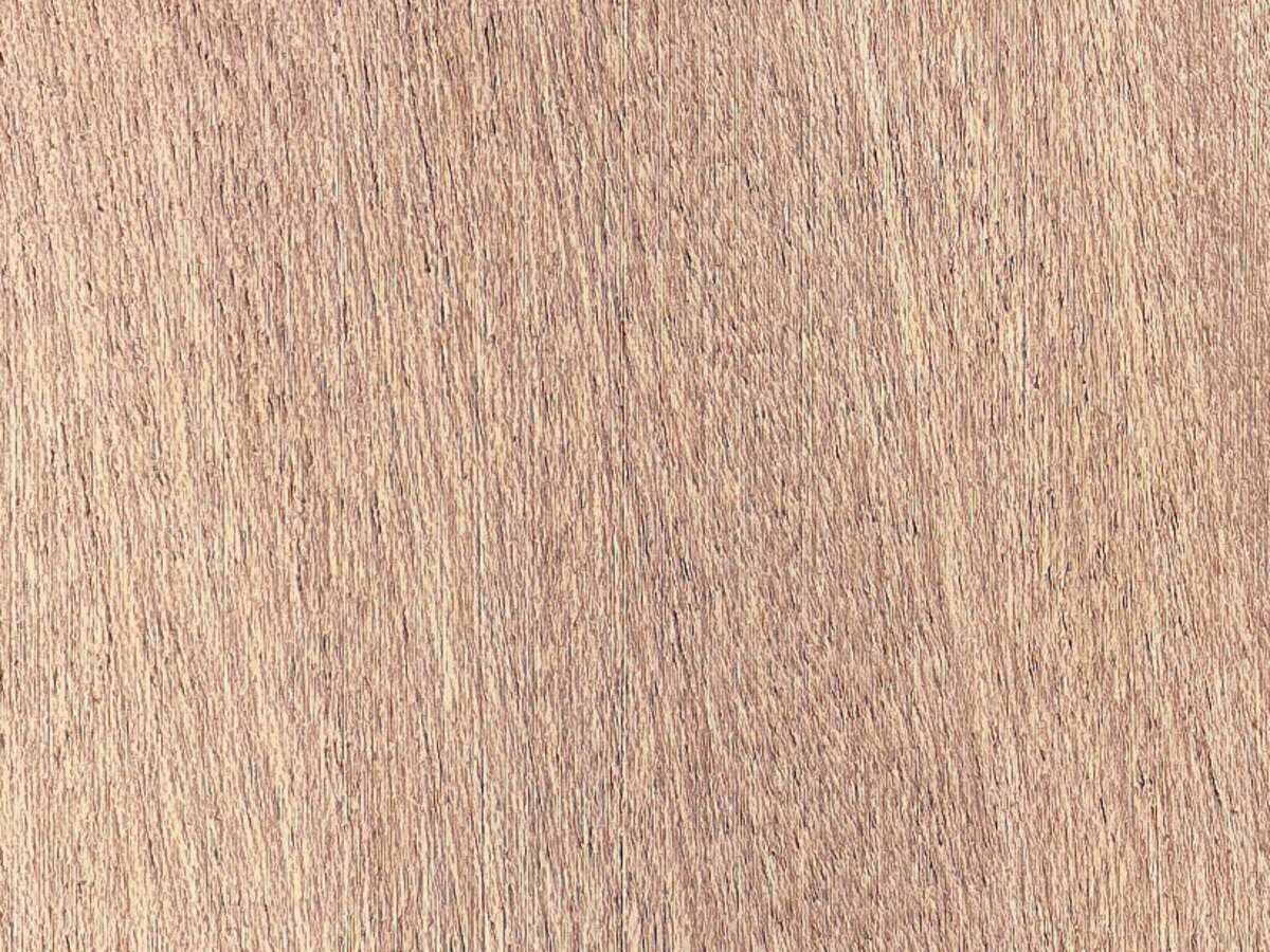 Sapele